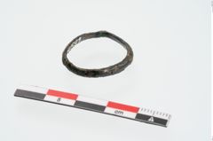 Foto von Bronzering (NHMW-PRAE-024591)